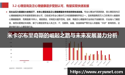 米卡尔布里奇斯的崛起之路与未来发展潜力分析